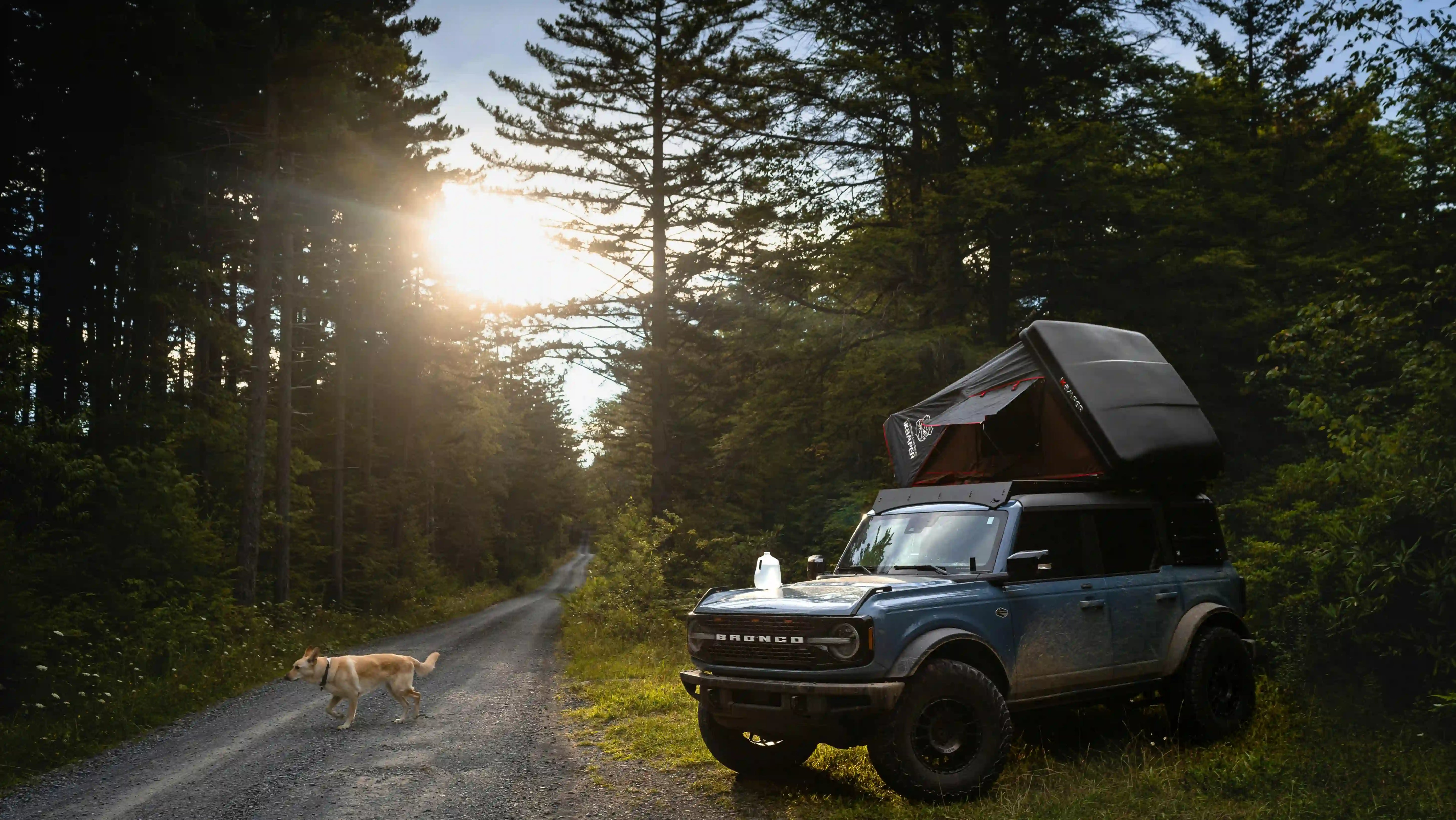 Geländewagen mit Dachzelt und Hund beim Camping im Wald bei Sonnenuntergang