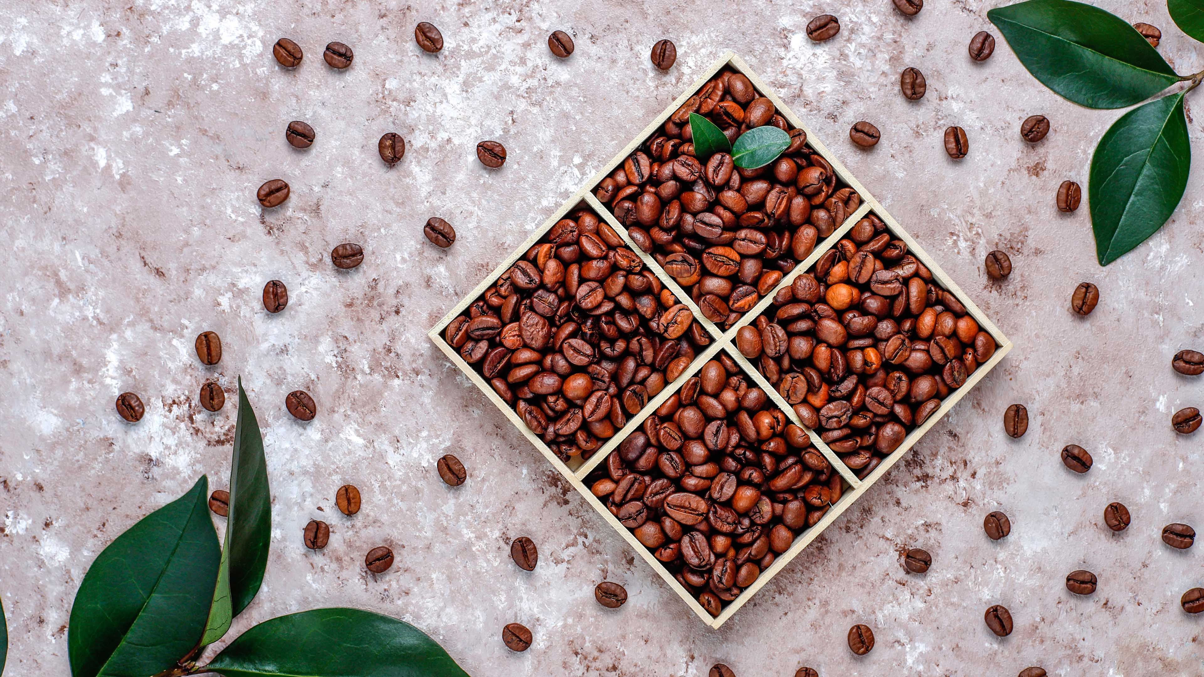 Kaffeebohnen in geteiltem Quadrat-Holzkasten auf Marmortisch, dekoriert mit grünen Blättern, Nahaufnahme für Kaffee-Liebhaber