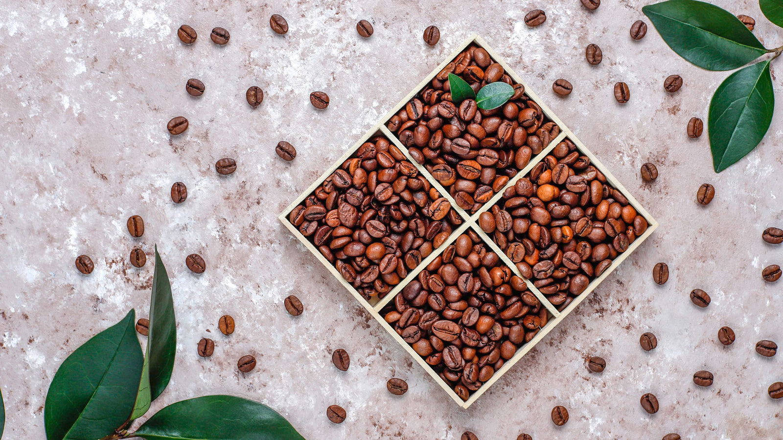 Kaffeebohnen in geteiltem Quadrat-Holzkasten auf Marmortisch, dekoriert mit grünen Blättern, Nahaufnahme für Kaffee-Liebhaber﻿